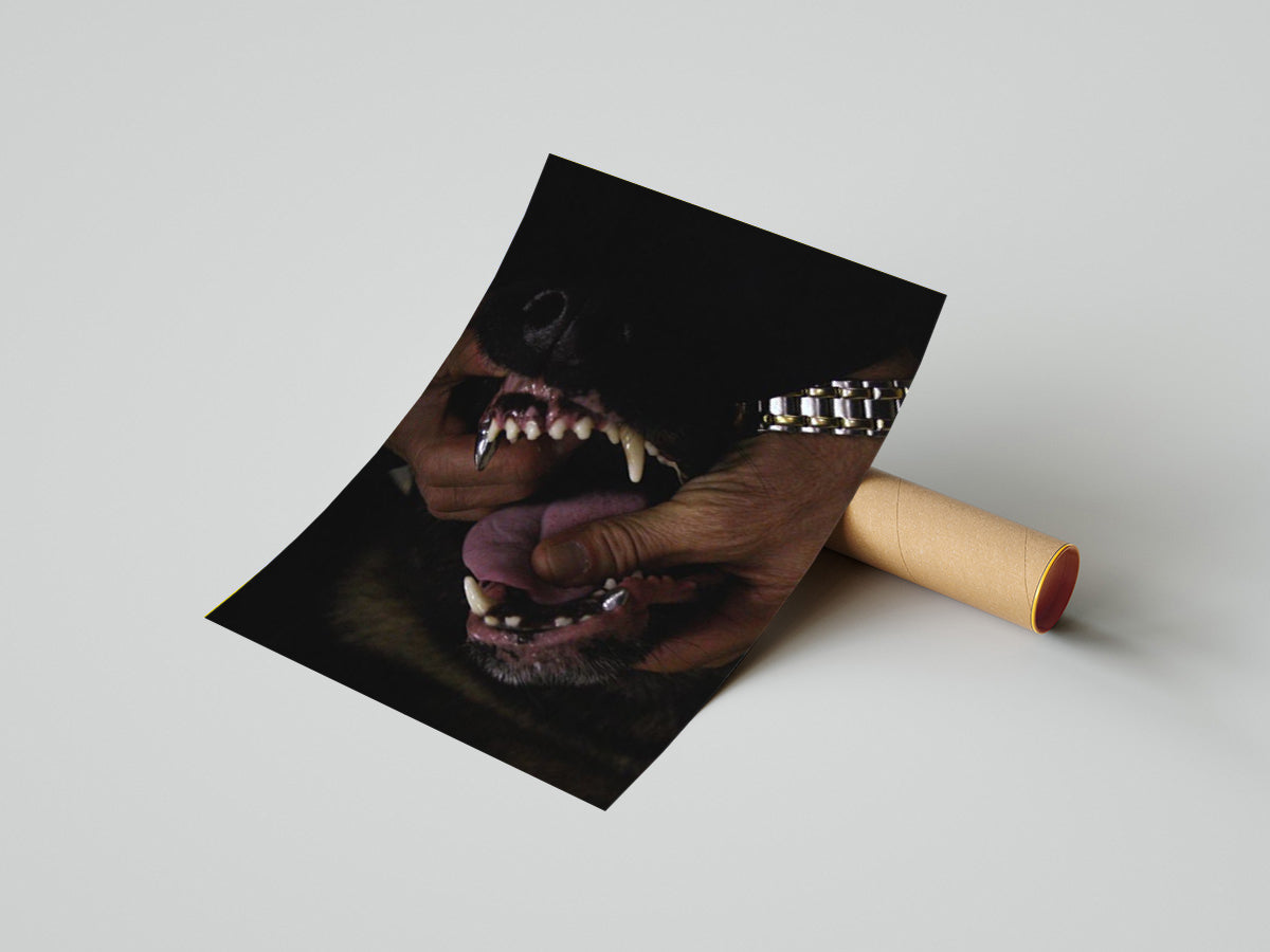 Doberman