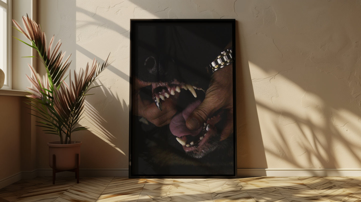Doberman